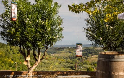 Terricciola Panorama (1)