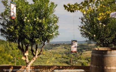 Terricciola Panorama (1)