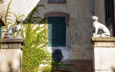 Terricciola, Villa Gherardi del Testa (5)