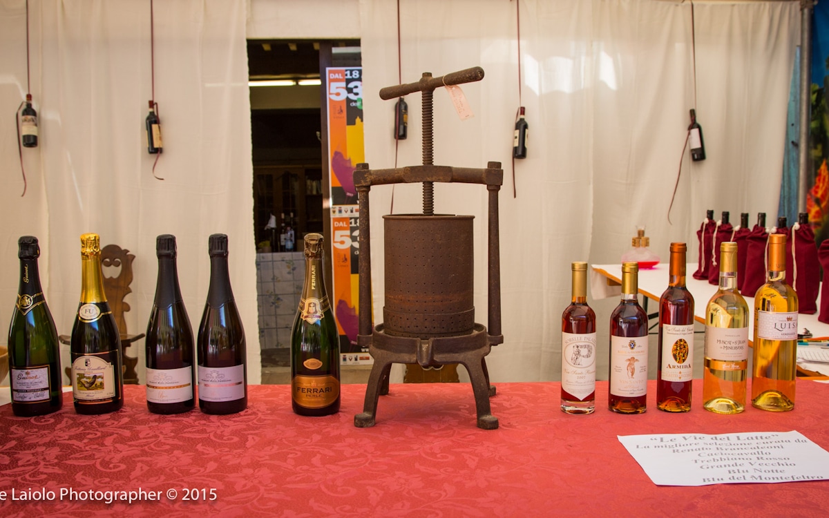 Terricciola, Weinfest (3) Terricciola, Weinfest (3)